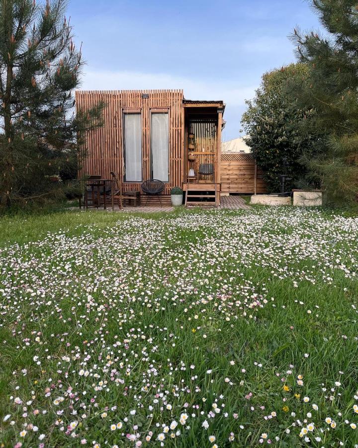 Les Suites D'Alienor-Suite Mimosa Pessac Exterior foto