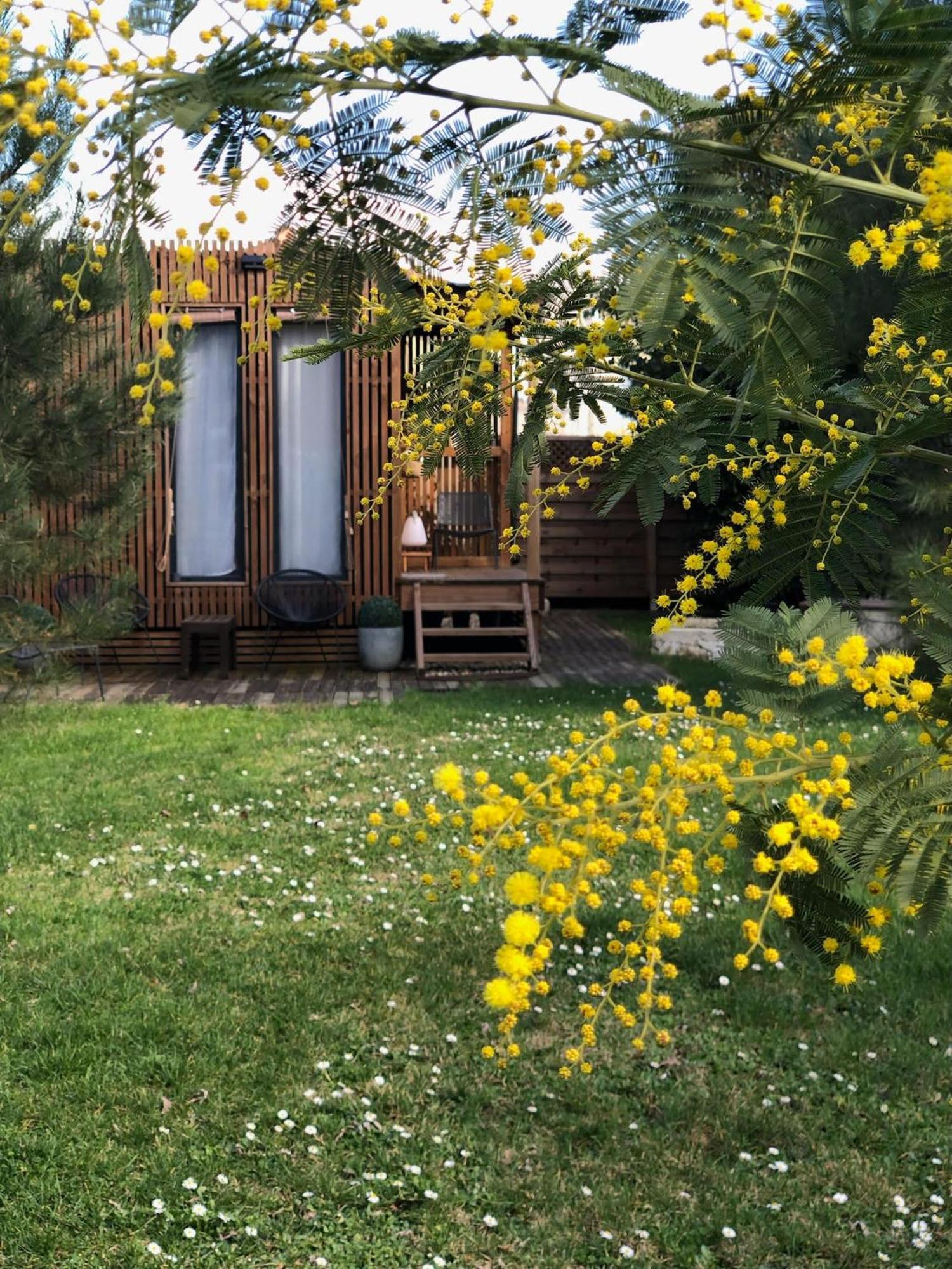 Les Suites D'Alienor-Suite Mimosa Pessac Exterior foto